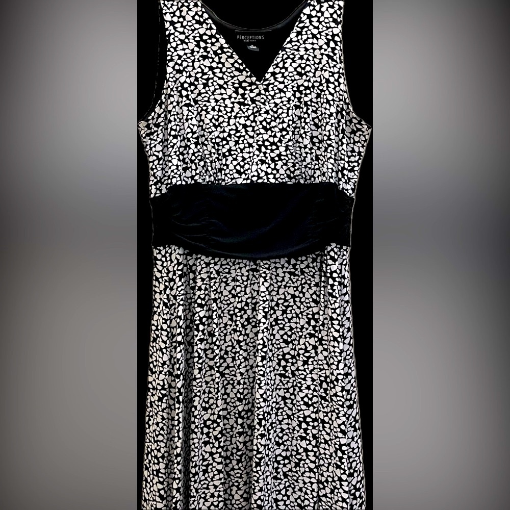 Perceptions Black and White Floral Dress
